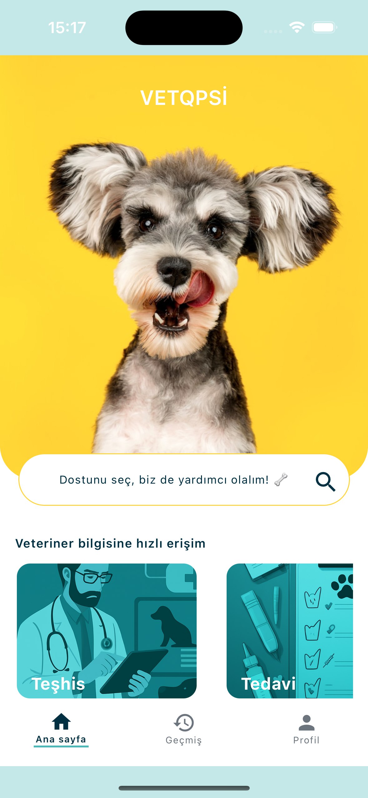 VETOPSI Uygulama Ana Ekranı
